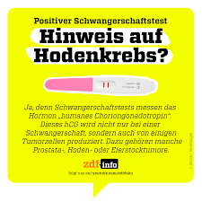 Das bedeutet, dass etwa zwei tage seit einnistung der eizelle in die gebärmutter vergangen sind. Zdfinfo Schwangerschaftstests Ersetzen Keine Krebsvorsorge Beim Arzt Unter Anderem Weil Nicht Jeder Tumor Das Schwangerschaftshormon Hcg Produziert Was Fur Die Meisten Selbstverstandlich Moglich Ist Ist Fur Uber 80 000 Menschen