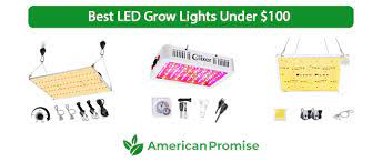 Maybe you would like to learn more about one of these? 7 Best Led Grow Lights Under 100 In 2021 American Promise