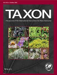 Image result for Dissotis pachytricha