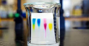 Paper Chromatography Practical Videos 14 16 Students Resource Rsc Education