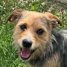 Jaclyn Lutz's Instagram, Twitter & Facebook