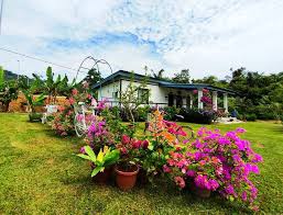 Gambar halaman rumah sebelum diubah suai. Idea Hiasan Dalaman Rumah Design Rumah Idea Dekorasi Moden Terkini Hias My