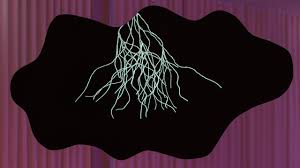 Polycarp was a christian bishop of smyrna. Diana Policarpo Frieze