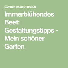 Immerbluhendes Beet Gestaltungstipps Mein Schoner Garten Beete Tipps Garten De