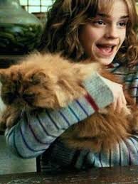 Figurine Pop Hermione Granger with Crookshanks (Harry Potter) pas cher