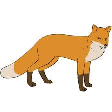 Connect the lines using two u shaped, curved lines. How To Draw A Fox Easy Drawing Art