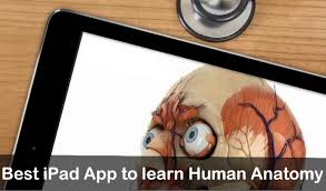 Free apps sometimes have a bad reputation, but many are gems that are so good you won't believe they're free. Best Ipad App To Learn Human Anatomy Iphone Ipad Air Mini Of 2021