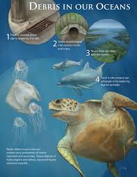 Plastic Debris In Our Ocean Can Outlast Many Generations Of Marine Mammals And Sea Turtles Please Dispose Of Trash Properly And Reduce Reuse And Recycle Desain