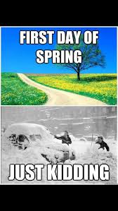Pin By Cayman Forbes On Funny Weather Memes Funny Meme Pictures Spring Meme