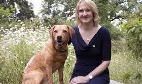 If your dog has been diagnosed with a cancerous tumor in her liver, it can mean one of two things. Claire Guest Claimed Her Dog Was The One Who Alerted Her Breast Cancer Express Co Uk