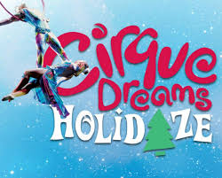 Deal Cirque Dreams Holidaze At Toyota Oakdale Theatre