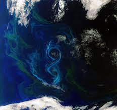 Earth From Space A Southern Summer Bloom Space For Our Climate Observing The Earth Our Activities Esa Earth From Space Space Pictures Earth Images