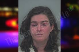 Sarah Ireland — Gwinnett County Jail Bookings