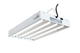 Shop all of our fluorescent t5 and cfl grow lights. What Kind Of Fluorescent Lights To Grow Plants Including Weed