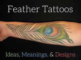 The feather tattoo designs vary according to the type of bird, species, and size. Feather Tattoos Designs Ideas And Meanings Tatring