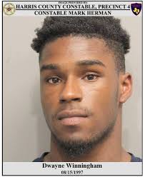 Mark Herman, Harris County Constable Precinct 4