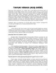 Tavuk Vebasi