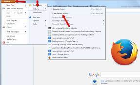 How To Delete Browser History From Mozilla Firefox | Techvine Tech Support  Blog