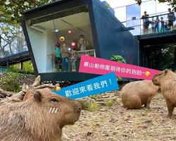 壽山動物園, 高雄的圖片