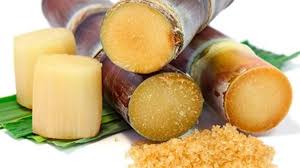 Stick a small piece of the peeled sugar cane into your mouth to chew. Is Chewing Sugar Cane Good For Your Teeth Teethwalls