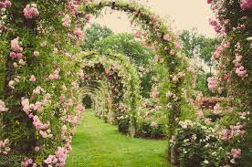 Elizabeth Park Rose Garden 42 Beautiful Gardens English Garden Design Magical Garden