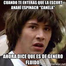 El significado de género fluido es cuando la expresión del género oscila entre lo masculino y lo fluido'. Cuando Te Enteras Que La Escort Anahi Espinach Canela Ahora Dice Que Es De Genero Fluido Conspiracy Keanu Meme Generator