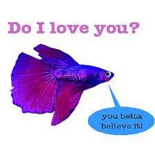 Enjoy our fishes quotes collection. Betta Fish Quotes Quotesgram