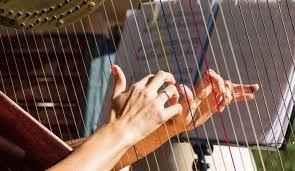 How much does a helicopter cost to fly in per hour? How Many Strings Does The Harp Have Musicalhow Com