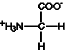 Resultado de imagen para estructura de aminoacido glicina