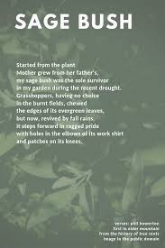 Sage Bush Poems Best Poems Silly Poems