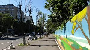 Ce se află pe masa președintelui. Marea Mutilare A Arborilor Din BucureÈ™ti Ii Milioane De Euro Cheltuite Pentru Un Registru Verde Incomplet Buletin De BucureÈ™ti