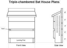 27 Bat House Plans Bat Nurseries Bat Rocket Boxes Bird Bat Boxes And More Bat House Plans Bat House Bird House Kits