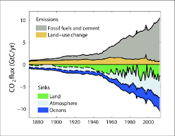 flux of carbon inputs and carbon sinks