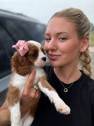 Cavalier King Charles Spaniel shows affection unexpectedly