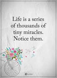 Life Is A Series Of Thousands Of Tiny Miracles Life Is A Series Of Thousands Of Tiny Miracles Notice Them Powerofpositivity Positivewords Positivethinking I Positive Quotes Quotable Quotes Life Quotes