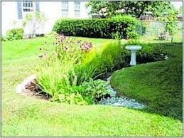 They can be large or small and can take advantage of pockets of space in your yard. Rain Gardens Green Energy Times Rain Garden Native Plants Garden Landscaping