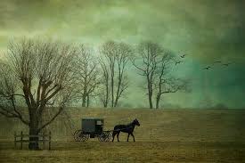 Shop for amish wall art from the world's greatest living artists. Amish Art Prints Art By Betty Wiley Amish Winter Day Fine Art Prints And Posters For Art Art Through The Ages Fine Art