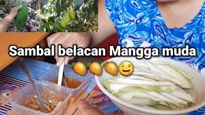 Makan rujak mangga jambu sambal kecap, sedep!! Sambal Mangga Muda Asam Enak Mantap Youtube