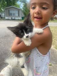 Hello from Georgia, he is Luffy 9m puppy