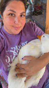 Which breed??? Can u recognize this breed??