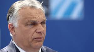 NGO om ungarske Orban: EU's troværdighed kan ikke holde til mere