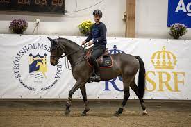 Peder fredricson has been one of my heroes since i saw him go all show at the rio games without his horse all in, having a rail. Peder Bjod Pa Inspirerande Ridtips Stromsholm