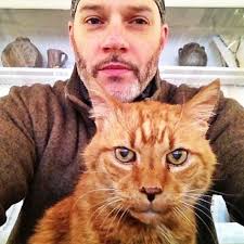 Easton mourns this beloved cat's death with tributes in beer and art