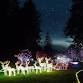 Natures Coastal Holiday Festival of Lights event image