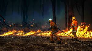 Image result for fire
