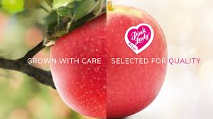 Check spelling or type a new query. Pink Lady Care Pink Lady Apples