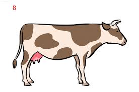 Cow Drawing Ideas » How to draw a Cow Step by Step