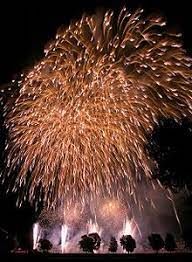 Wann der beste zeitpunkt ist, weihnachtsbäume zu kaufen, hängt von der qualität des nadelbaums ab. Feuerwerk Wikipedia