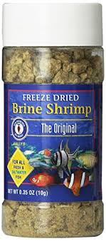 Best Betta Food 7 Top Freeze Dried And Pellet Foods For Betta Fish