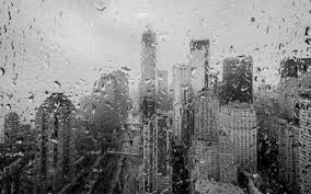 #naturesounds #whitenoise #ambiencewhite noise of a bad weather for concentration, work, study, relaxing or just replacing the sounds of the city.weißes. Huricane Sandy New York World Architercture Buildings Skyscrapers Rain Storm Black White Disaster Weather Drops Water Wallpaper 1920x1200 27046 Wallpaperup